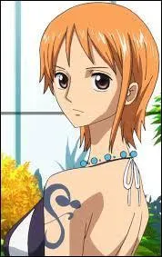 Cette jeune fille fait partie de l'équipage de Luffy (One Piece) dans lequel elle tient le rôle de navigatrice et de cartographe.