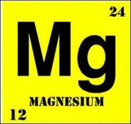 Parmi les suivants, quel aliment est le plus riche en "magnésium" ?