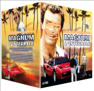 Dans les années 80 qui tenait le rôle de "Magnum" dans la série télé du même nom ?