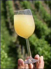 Dans quel vignoble utilise-t-on le terme "paradis" pour d&eacute;signer le vin sorti du pressoir ?