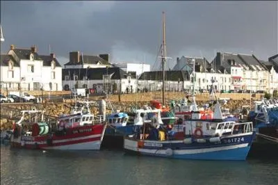 Premier port de pêche des Pays de la Loire, c'est aussi le premier port de pêche de la façade atlantique pour la sardine et l'anchois. Dans quelle commune de Loire-Atlantique se trouve ce port ?