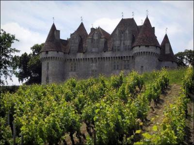 12 600 hectares de vignoble pour treize appellations AOC dont le monbazillac ! C'est le vignoble de ... en Dordogne.
