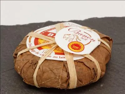 Le banon est un fromage de chèvre emballé dans des feuilles de vigne brunes.
