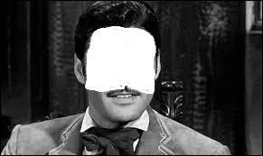 Quelle phrase colle à ce poilu ?