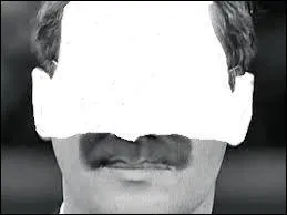 Quelle phrase colle à ce poilu ?