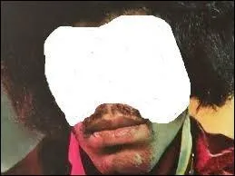 Quelle phrase colle à ce poilu ?