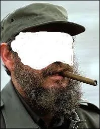 Quelle phrase colle à ce poilu ?