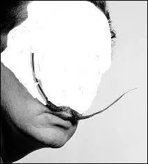 Quelle phrase colle à ce poilu ?