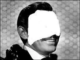 Quelle phrase colle à ce poilu ?