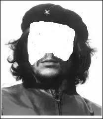 Quelle phrase colle à ce poilu ?