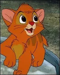 Qui est ce chat roux ?