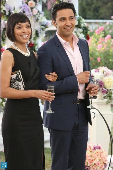 Dans quelle saison Camille et Arastoo sortent-ils ensemble ?