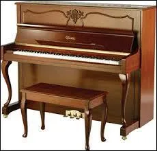 Quel est cet instrument ?