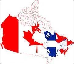 Au Québec, que signifie le terme "magasiner" ?