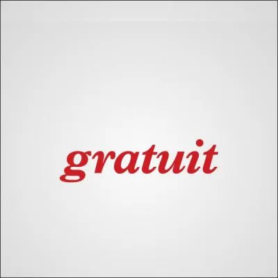 Trouvez le nom de cette entreprise permettant d'accéder à Internet !