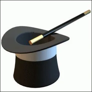 Quel est l'objet sur le chapeau ?