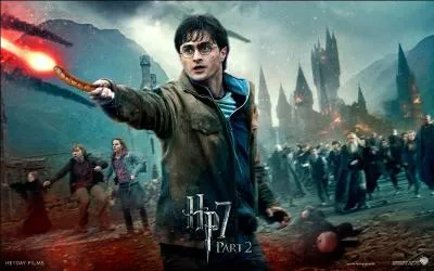 Vrai ou faux - Dans Harry Potter, il n'utilise jamais la magie.