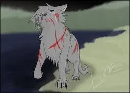 Sa sur, ou son frère, est obsédé par le Code du Guerrier mais commet une faute grave en assassinant un chat gris. 
Qui est-ce ?