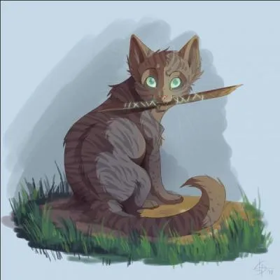 Un jour, il découvre un bâton avec d'étranges griffures dessus.
Peu après, il rencontre, Pierre, un lointain ancêtre.
Quel est le physique de Pierre ?