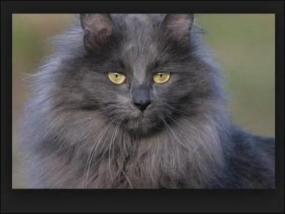 Qui fut son compagnon ?