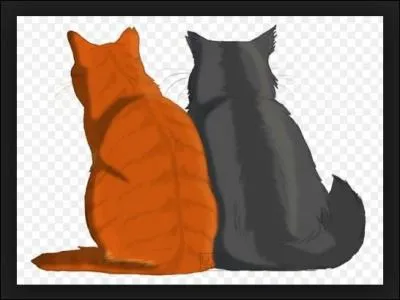 Contre qui se bat-elle sur le territoire du Clan du Tonnerre ?