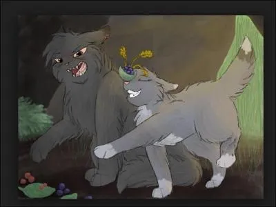 Qui fut son apprenti dans le clan du Tonnerre ? (1 cycle)