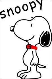Où le chien Snoopy aime-t-il dormir ?