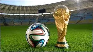Quel pays a remporté la Coupe du monde de football en 2014 ?