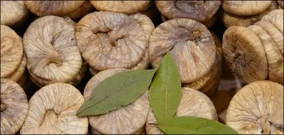 Géologie. Croûte continentale en dehors des zones sismiques ou en soulèvement :