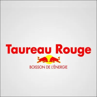 Comment s'appelle cette société autrichienne ?