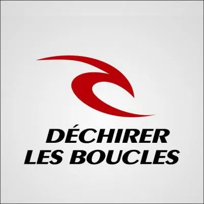 Fondée par deux surfeurs, cette entreprise se nomme :