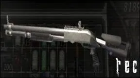 Quelle est cette arme ?