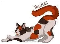 Qui est le lieutenant d'Étoile Bleue quand Nuage de Feu arrive ?