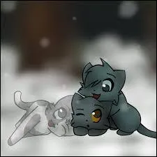 Qui d'entre eux est l'un des chatons d'Étoile Bleue ?