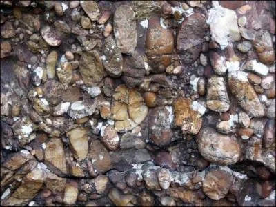 Roche formée de cailloux cimentés naturellement :