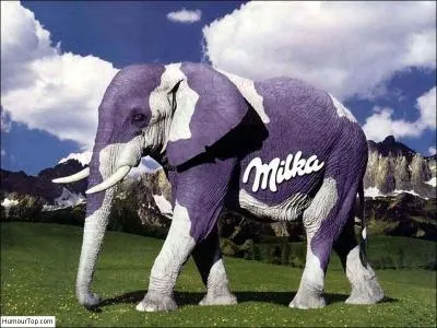 Que prend un &eacute;l&eacute;phant dans un bar ?