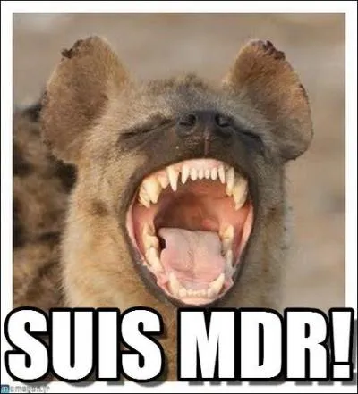 Et cette fois-ci, que dit un cendrier dans un ascenseur ?