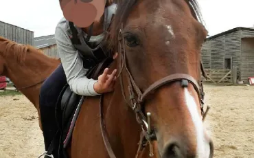 Quiz Galop 4