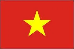 Quel pays est 14e du classement avec 100 millions d'habitants ?