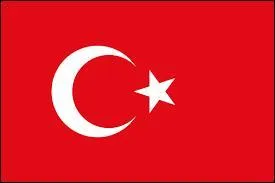 Quel pays a 100 millions d'habitants et est 16e du classement ?