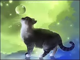 Qui est le père d'Étoile de Feu ?