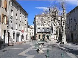 Nous sommes à Pignans, ville Varoise située en région ...