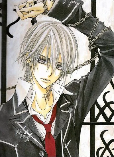 Qui a dessiné Zéro Kiryu ? (Vampire Knight)