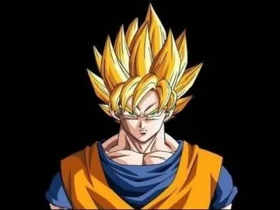 Qui a dessiné le Sayen Son Goku ? (Dragon Ball)