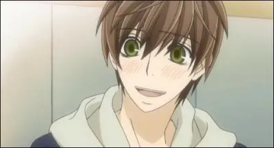 Alors, nous avons fait des shônens, shôjos, allons nous amuser dans le josei. Qui a dessiné Onodera Ritsu ? (Sekai-ichi Hatsukoi)