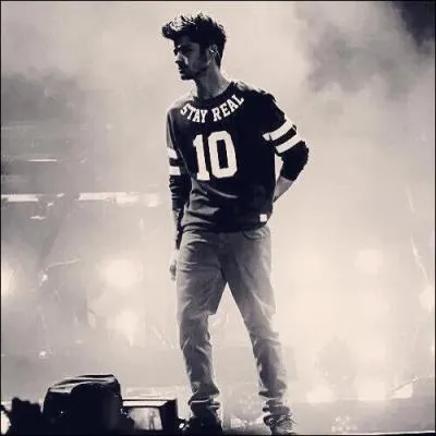 Zayn est :