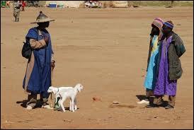 Comment s'appelle ce peuple nomade que l'on rencontre en Afrique de l'Ouest ?