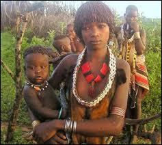 Dans quelle région d'Afrique peut-on rencontrer des Pygmées ?