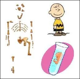 Qui est Louise Brown ?