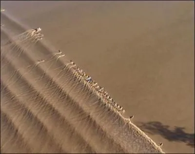 Quel phénomène naturel se produit dans l'embouchure de certains fleuves lors des grandes marées ?